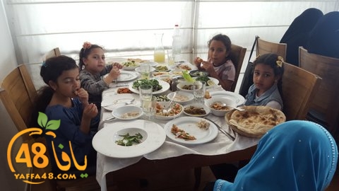 re7la shamal tamer (17).jpg